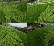 欧博网址 -?E鳡蔻鐵師(狄曼特王子x银月女王)