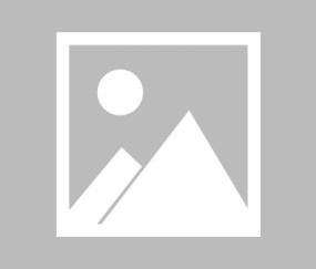 欧博官方网站 -国际比赛日中超传出新动向；纽约尼克斯篮板制胜；管理层表态：态度坚定；赛程密集仍需轮换的简单介绍